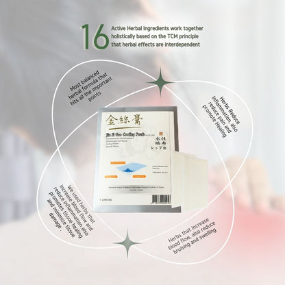 Jin Si Gao Cooling Plaster (6pc per pack) | Targeted Pain Relief | 16 Natural Herbal Active Ingredients - Herbprime